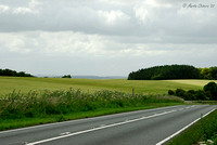 Road and Fields at Cheesefoot Head