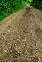 Hampshire Millennium Pilgrim's Trail