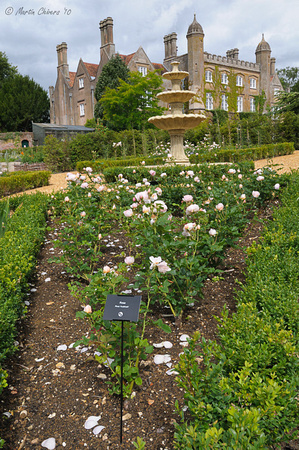 Rose Garden at Marwel