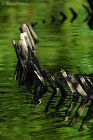 Fence in Water and Reflections
