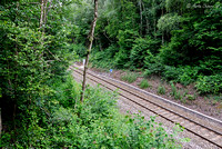 Railway Track Running Through Woodland