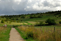 Path at St Catherine's Hill