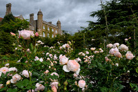 Rose Garden at Marwell